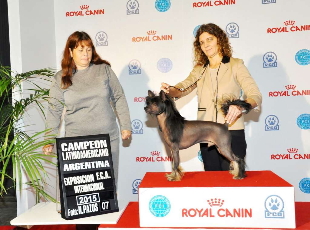 Tzao Alex Brisa de Amor