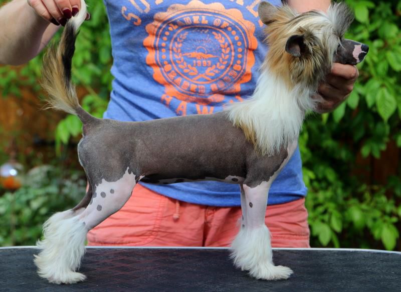 Solino's It's All about Me