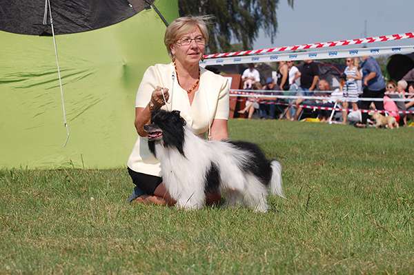 Adonis Zaczarowany.Flet