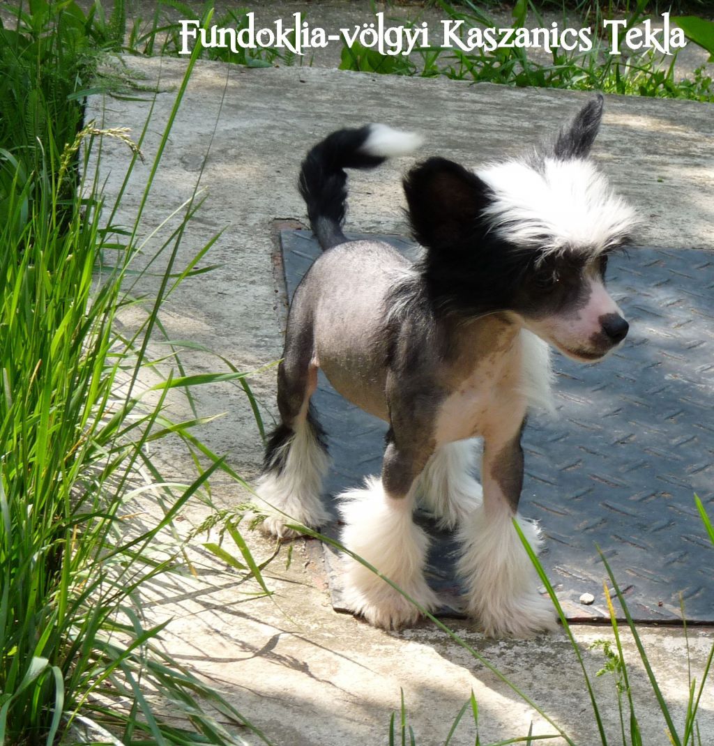 Fundoklia-völgyi Kaszanics Tekla