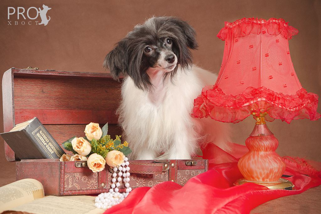 Gualina iz Serebryanogo Raya