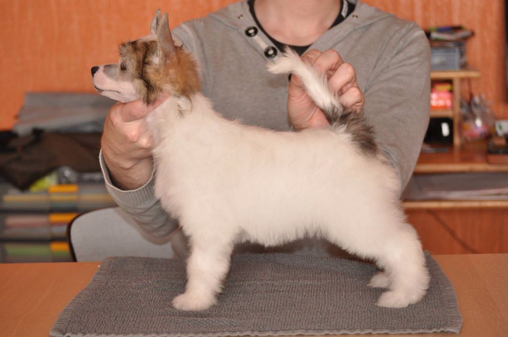 Nina Born to Be the Best