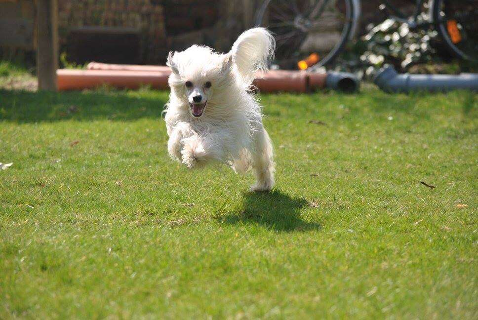 Noha Born to Be the Best