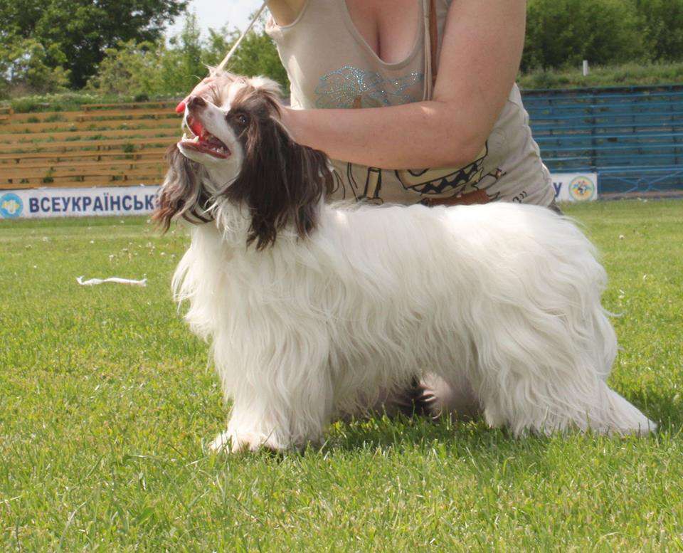 Ovatii Sharizat Loving