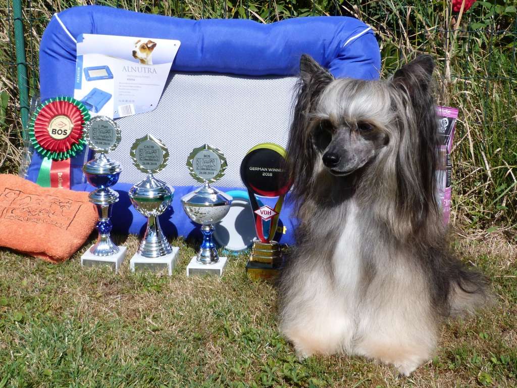 Isis z Pulnocního dvora