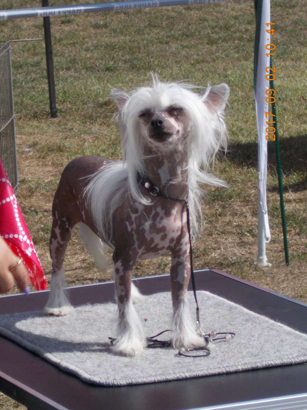 Princesa de L'Essence de Mon Tout