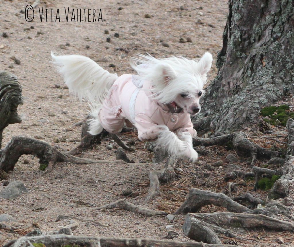 Bemu's Be My Sunshine