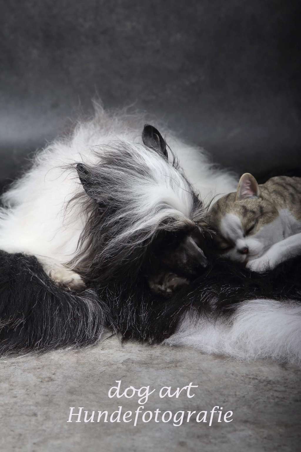 Just A Junkie von Shinbashi