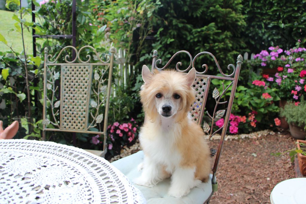 Bombshell  T.N.T  I'm Dynamite