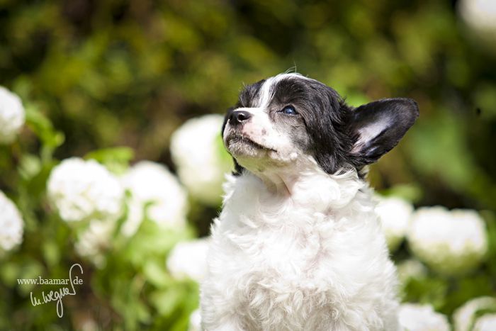 Charming Treasure Batida de Coco