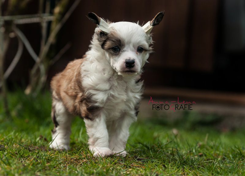 Little Rehma's Big Ben