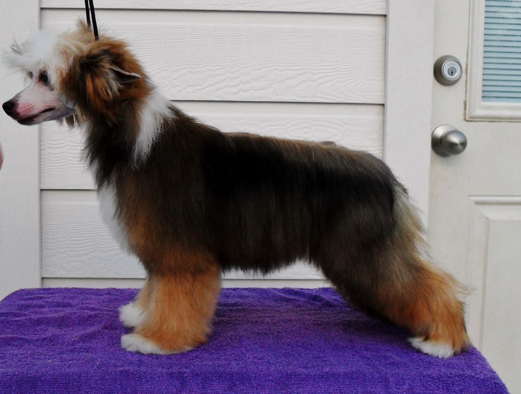 Georgia Artagasamazis