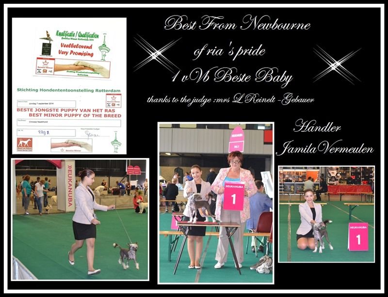 Best From Newbourne of ria's pride