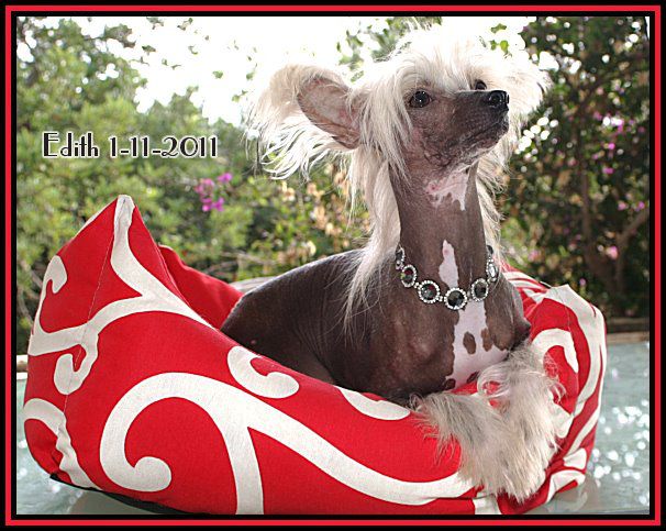 Non, je ne regrette pas Della Castafiore