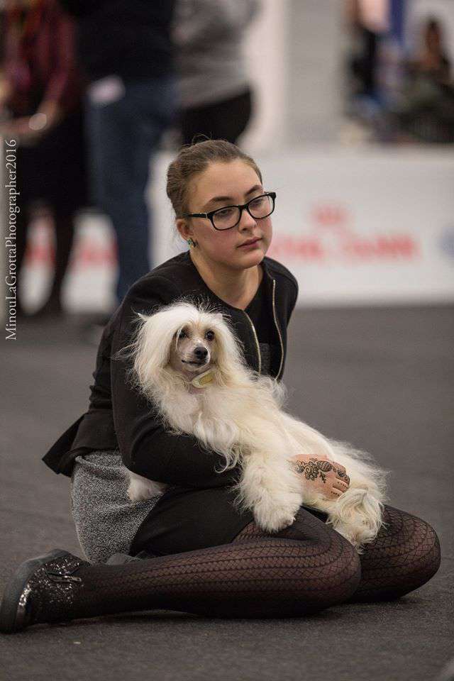 Jch. Itch. Dakota Rose Here Come The Sun