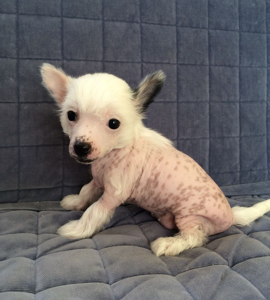 Zhozel Bright ray of sunshine