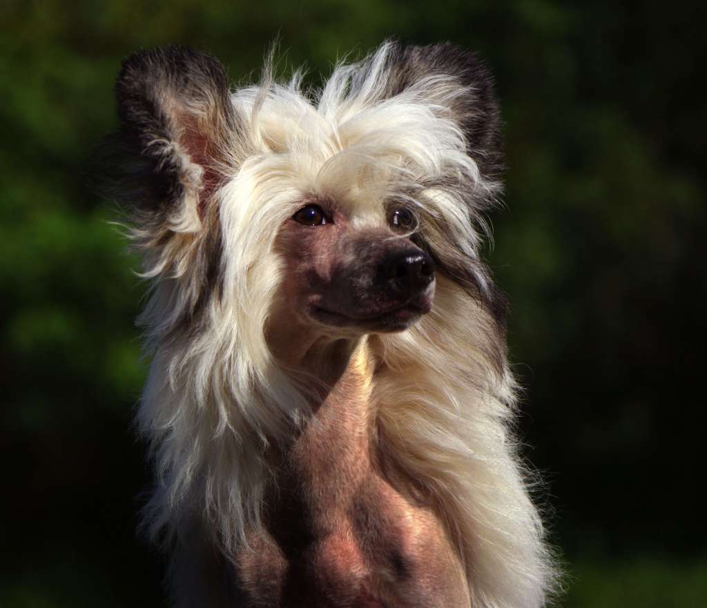 Futureline Felicie Marseille