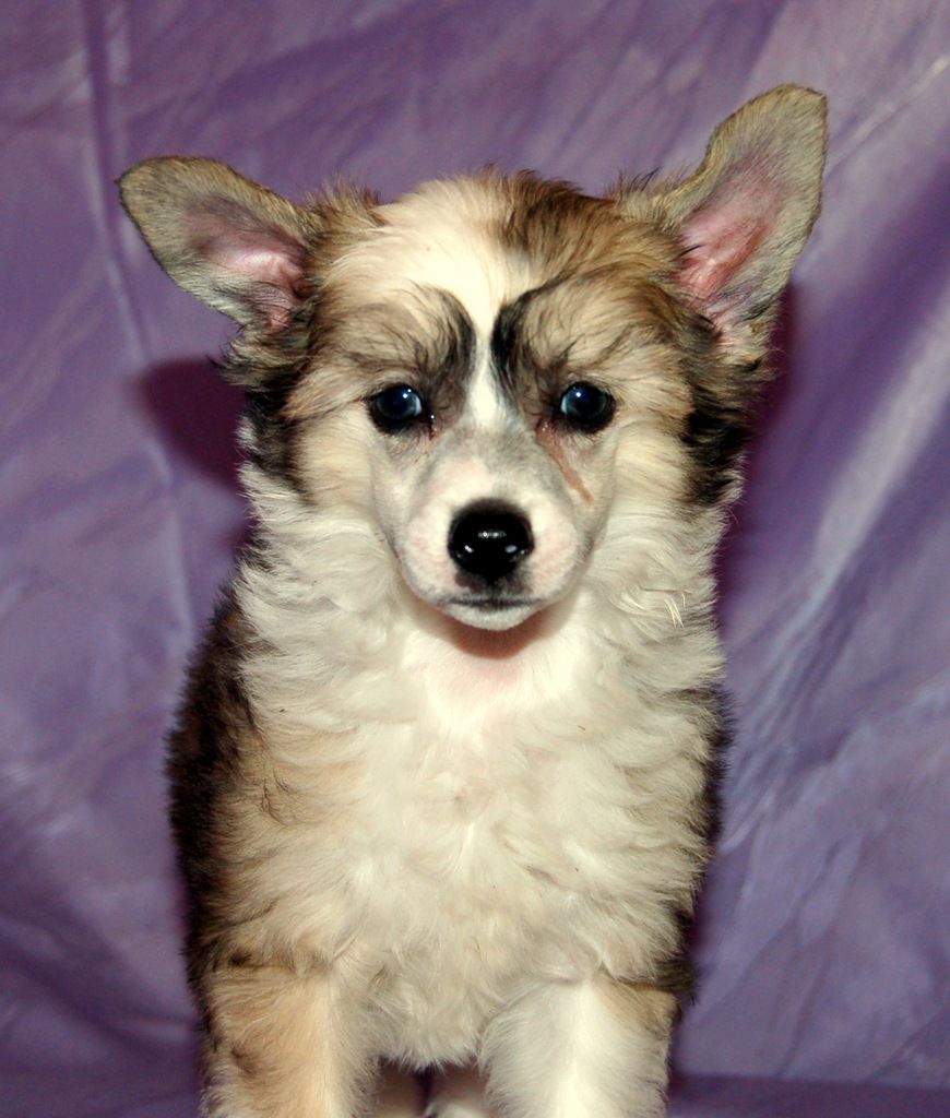 Free Style  z Andelovy dlane