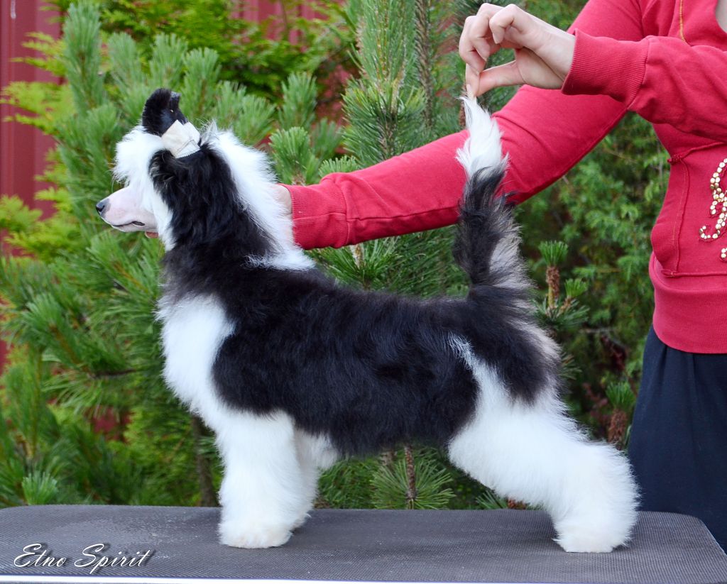 Etno Spirit Jacqueline