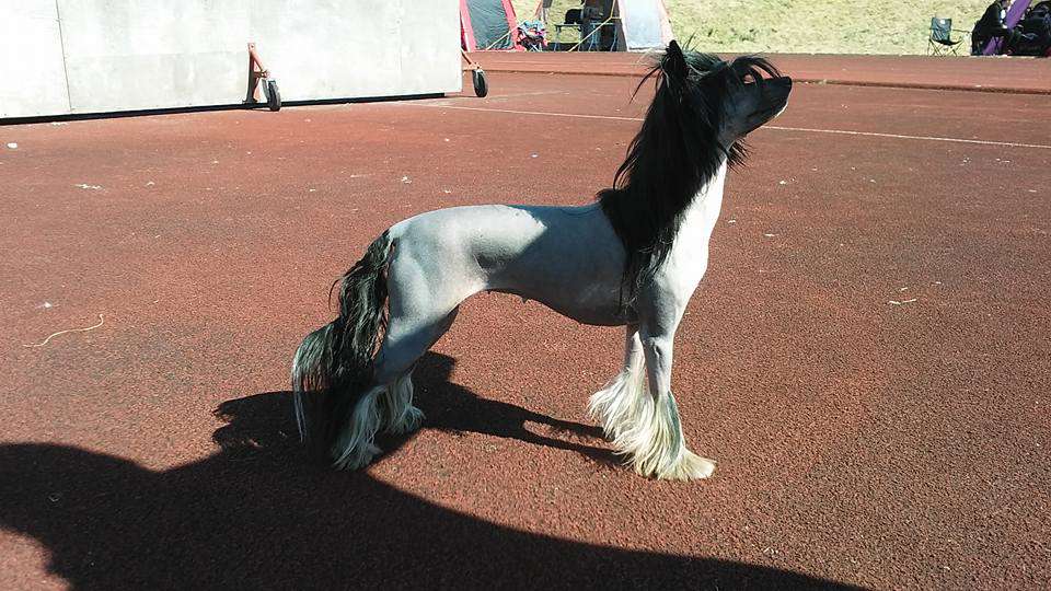 Pinky Twinky Quality Babe