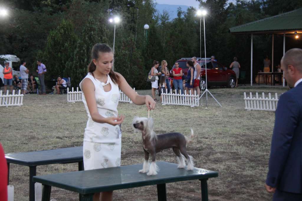 Felici Amici A Beautiful Princess