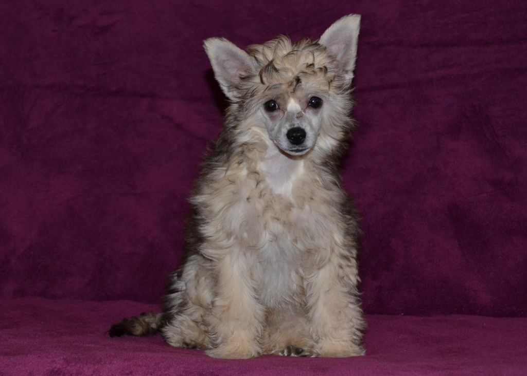 Cayle z Kutských luk