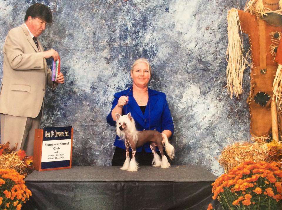 -Famous Watch Me on the Catwalk