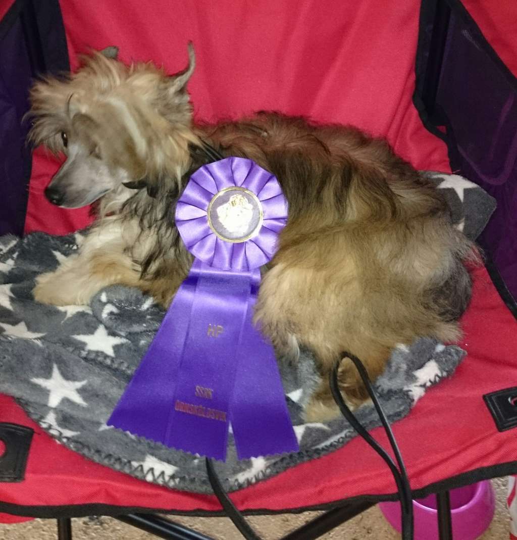 Kaori Katmai Queen Malverne