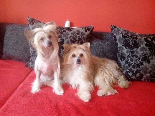 Claudie Majki Malý Tom