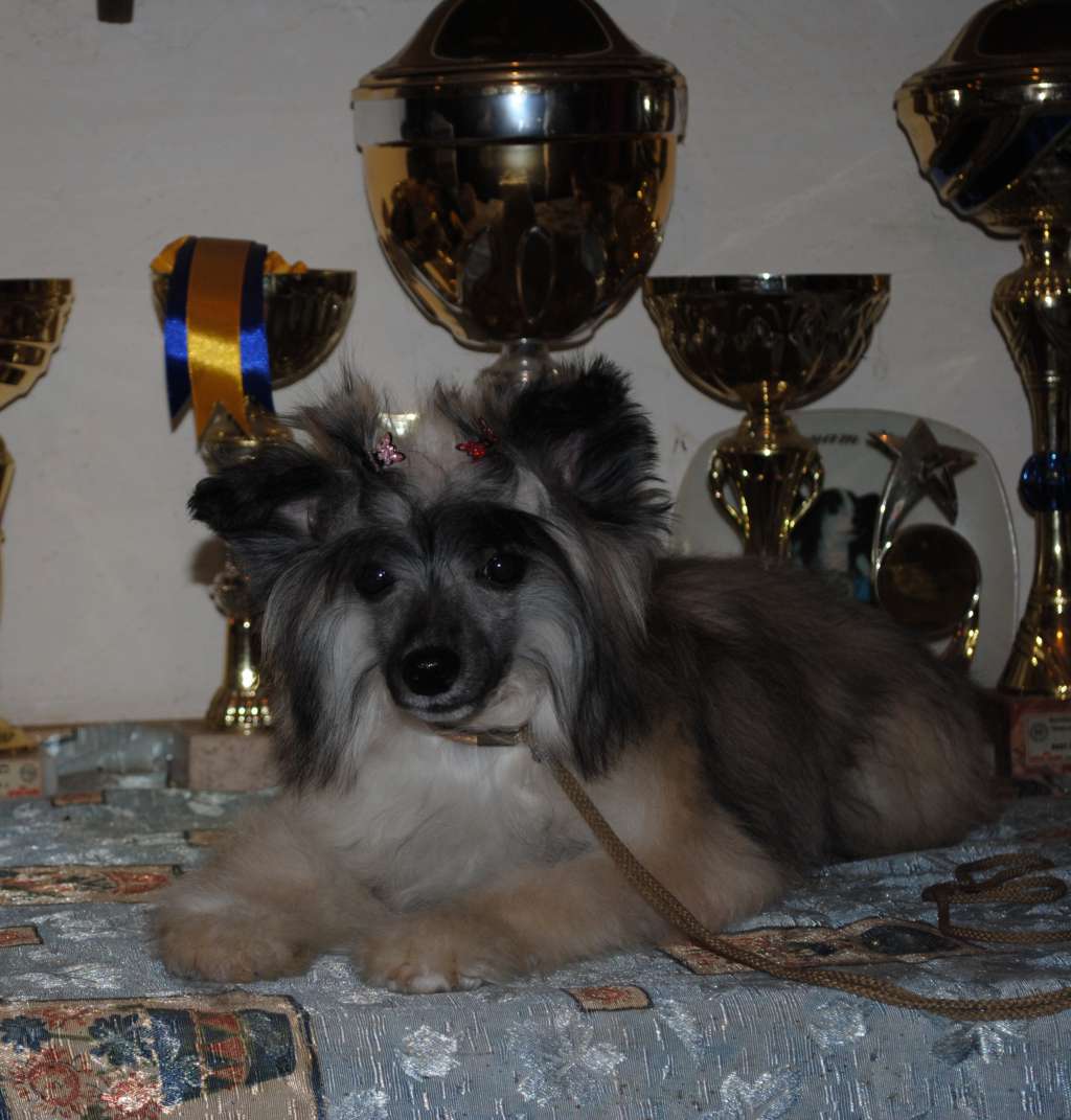 Olympia Touch Dom Risorto