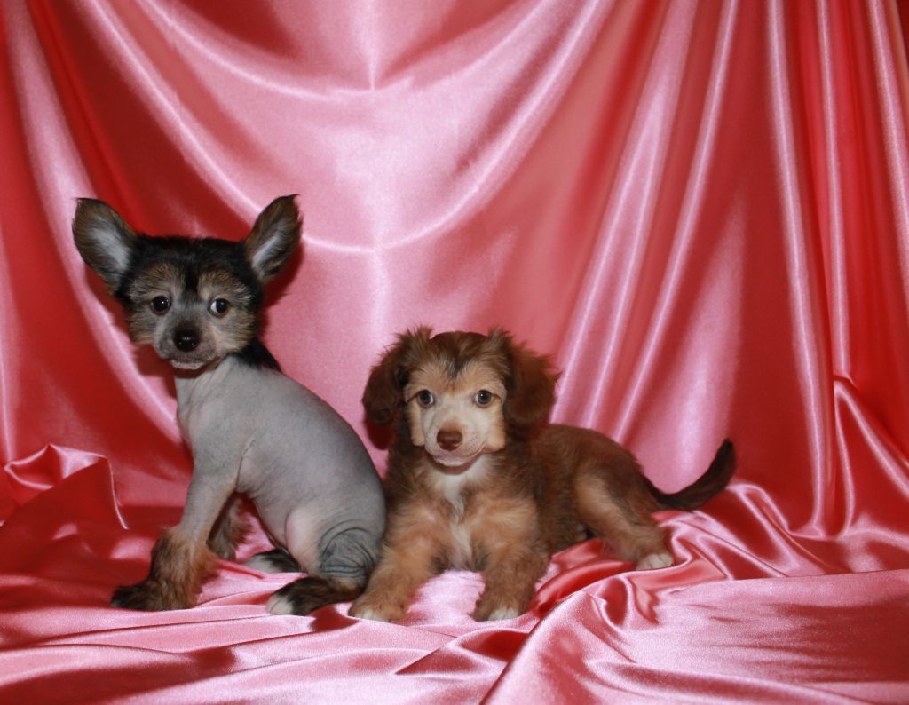 Zhorzhetta Zhumabike