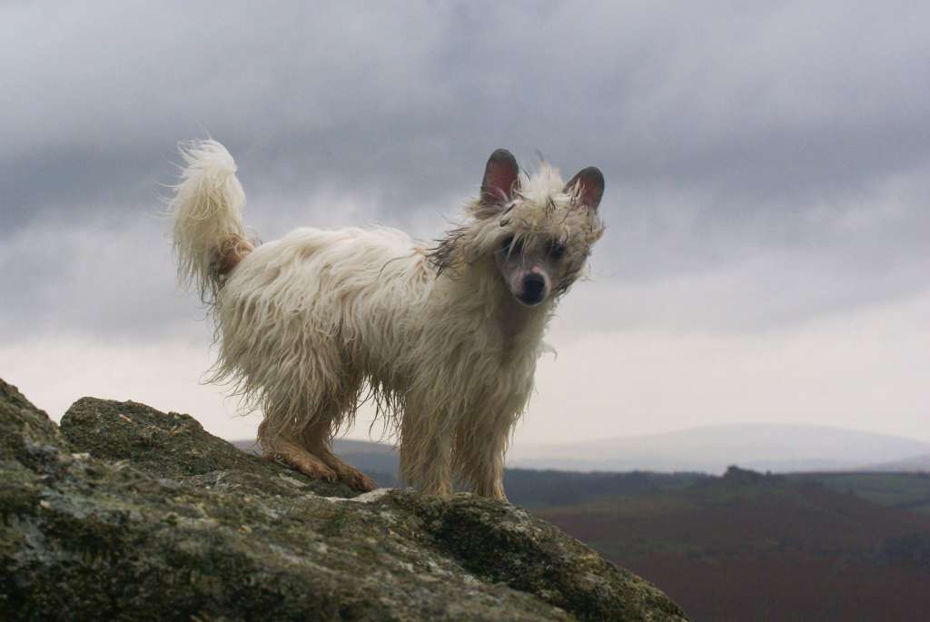 Dresscode-Zero Needs Some Spanking