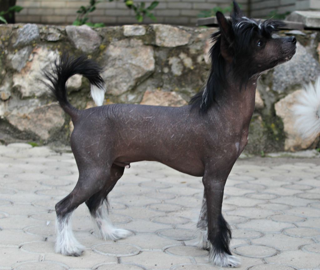 Kingi Eliot Miracolo Dell'anima