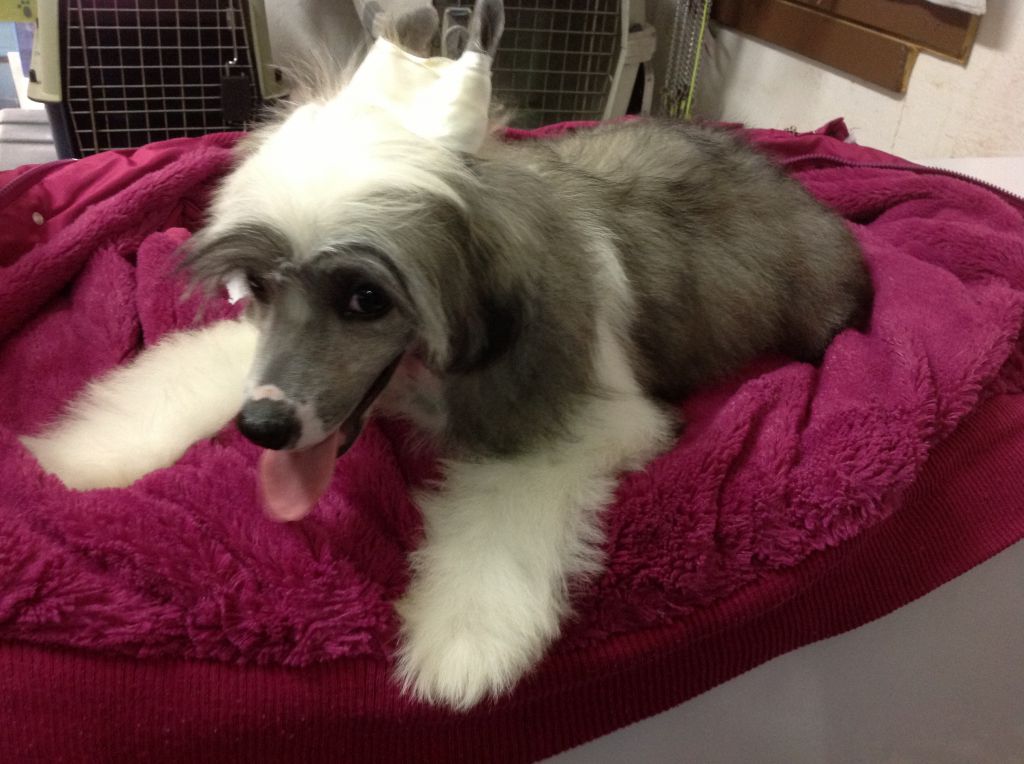 Johanna love is weird