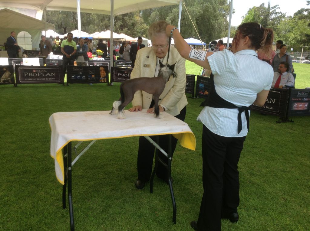 The boy of the bread