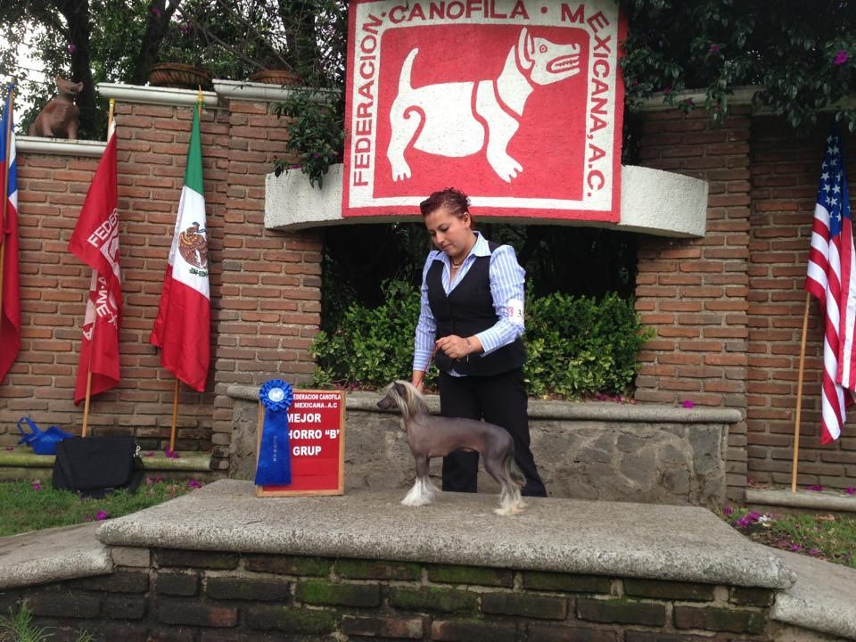 Didi de los jumichatos