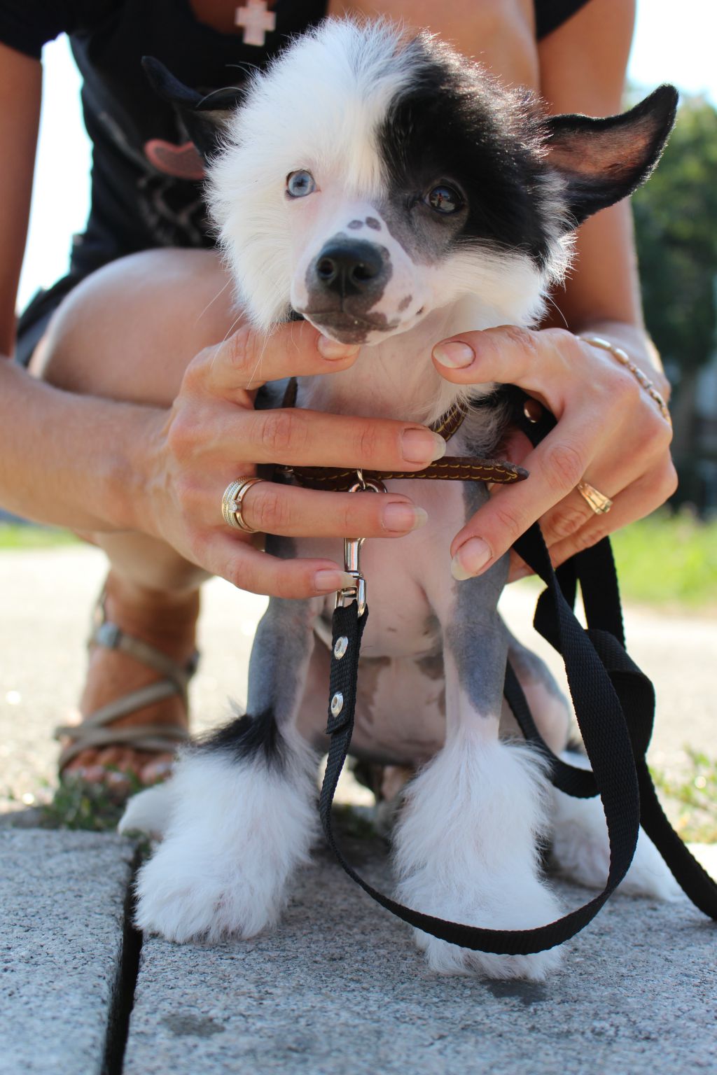 Legion Of Dream Ilariya Kaiser