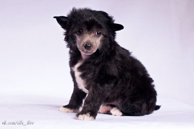 Nyu Art Legenda Eto Navsegda