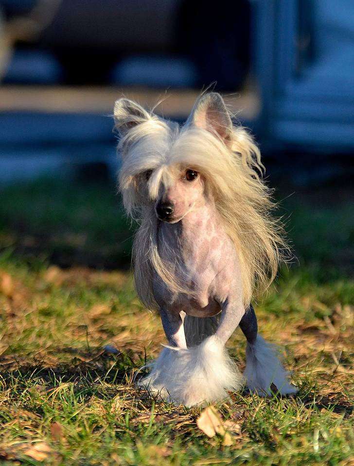 Can't Get Enough Heybett