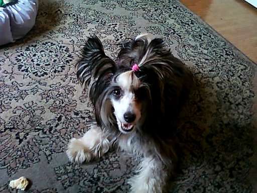 Gubitelnica Dush Greshnaya Boginya Strasti