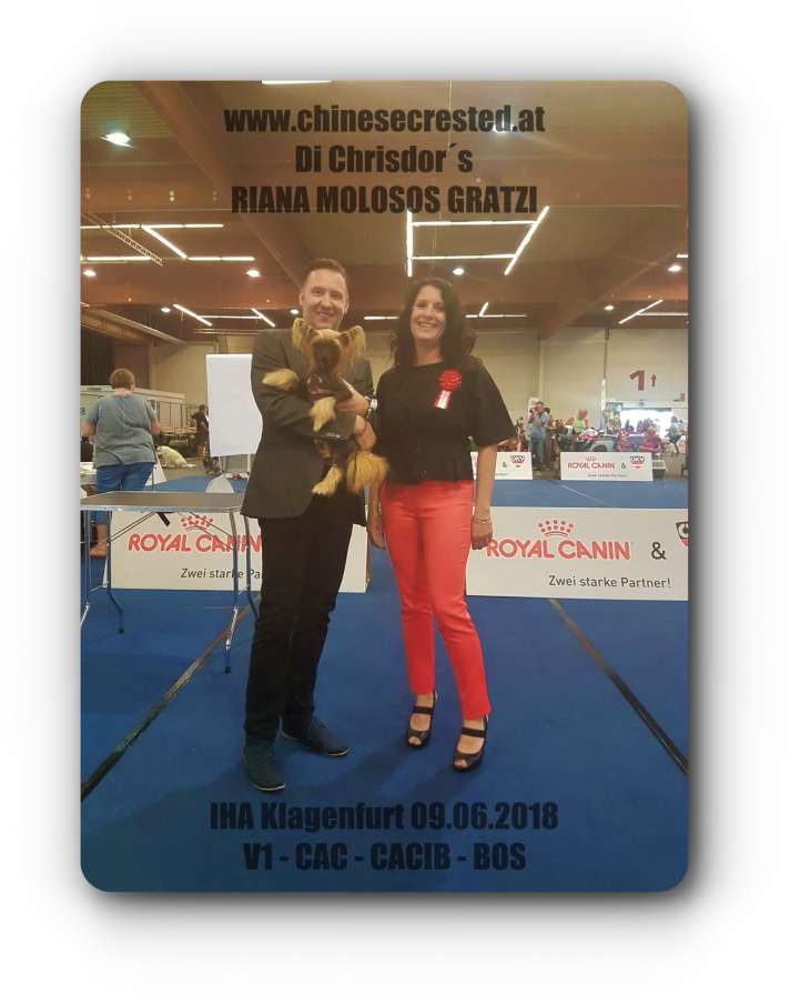 Riana Molosos Gratzi