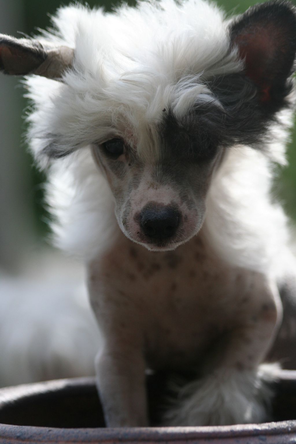 Dresscode-Zero Never Ending Story