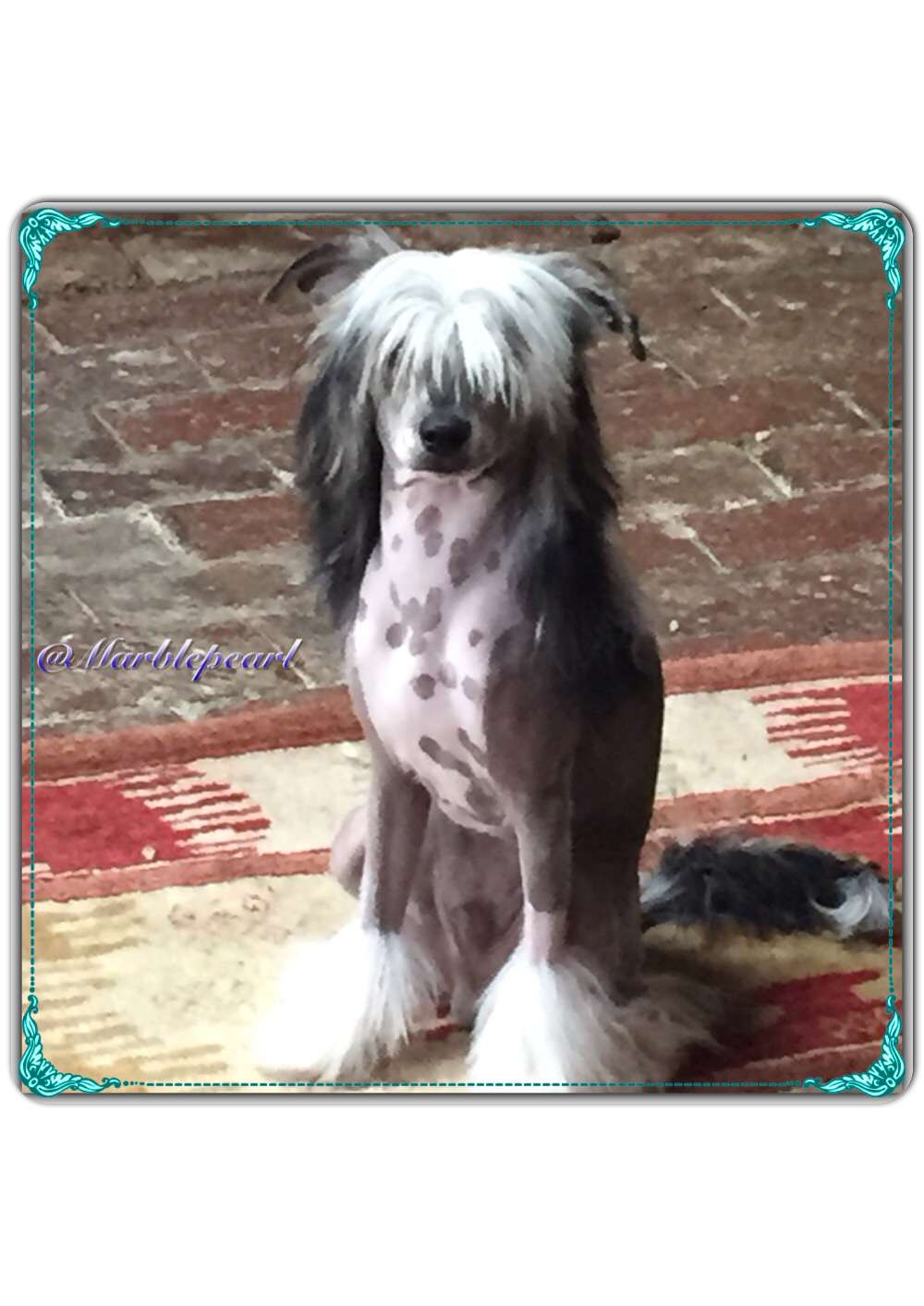 Marblepearl Vento di Mare