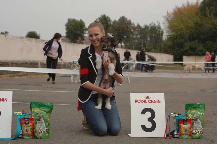 V'Aleksas House Bonus Westtai