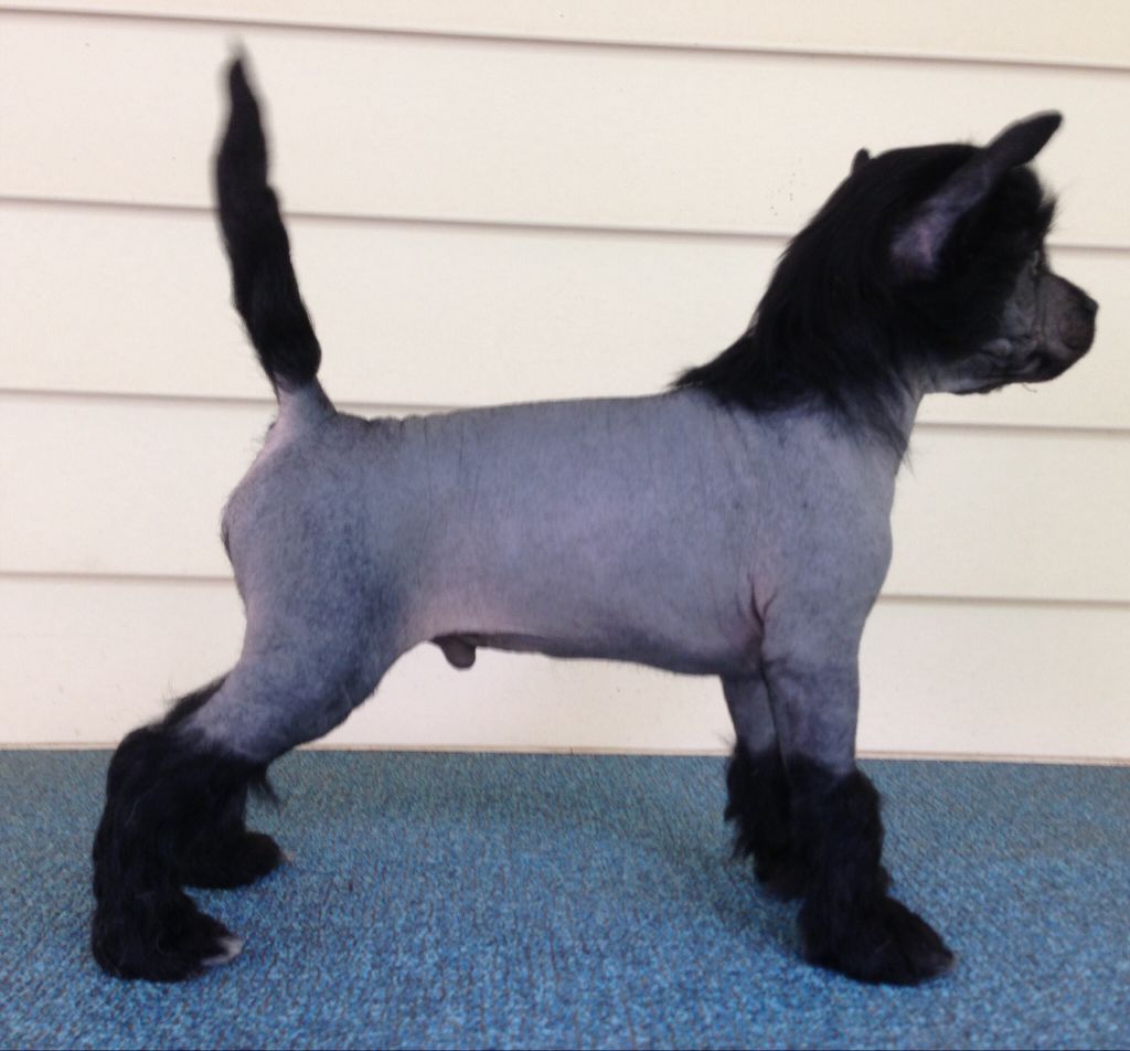 Jewels Black Moon Rising