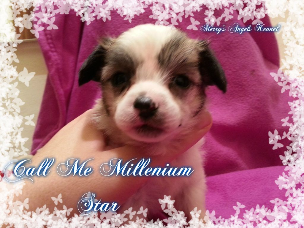 Call Me Millenium Star!!