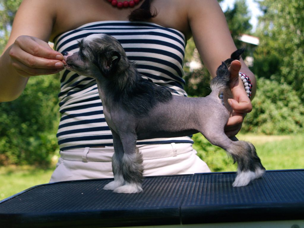 Black-Diva's Good To Be Bad