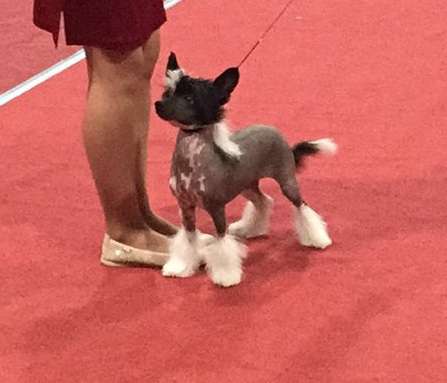 Kick The Habit of Angel's Legacy