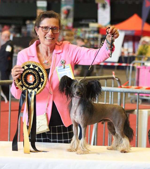 Int. Ch.Kiss Me Now of Angel's Legacy