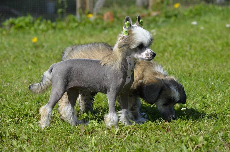 Estillinis No More Drama